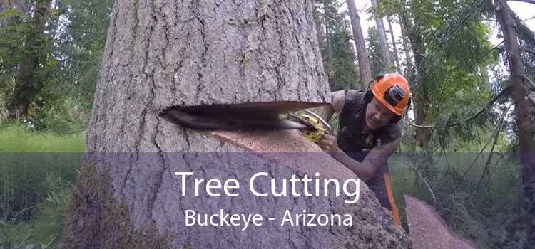 Tree Cutting Buckeye - Arizona