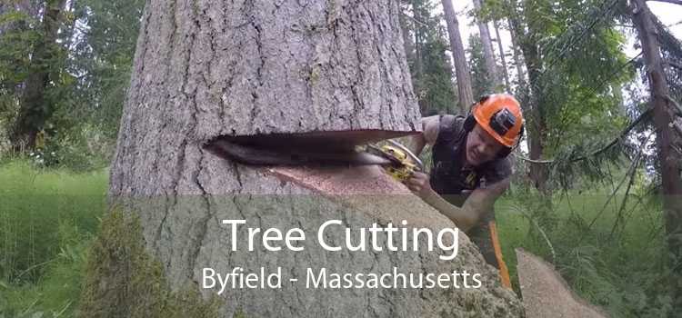 Tree Cutting Byfield - Massachusetts
