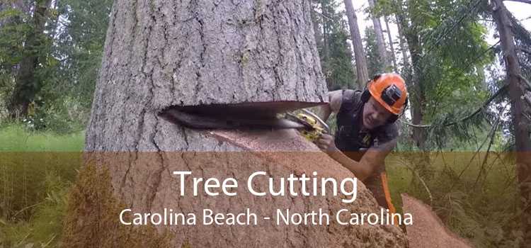 Tree Cutting Carolina Beach - North Carolina