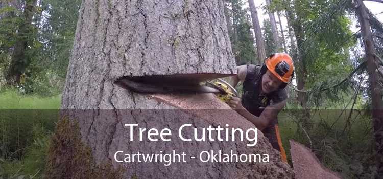 Tree Cutting Cartwright - Oklahoma