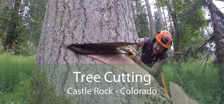 Tree Cutting Castle Rock - Colorado