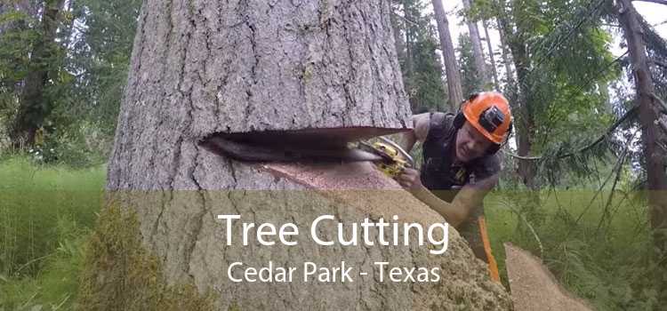 Tree Cutting Cedar Park - Texas
