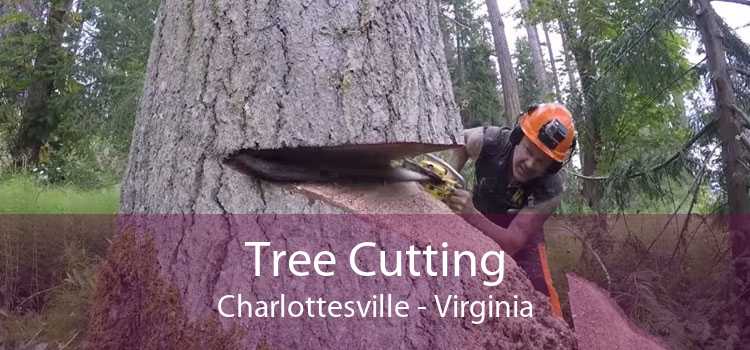 Tree Cutting Charlottesville - Virginia