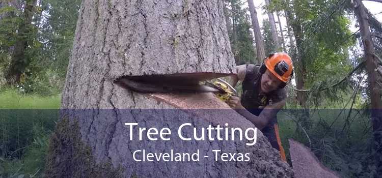 Tree Cutting Cleveland - Texas