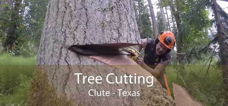 Tree Cutting Clute - Texas
