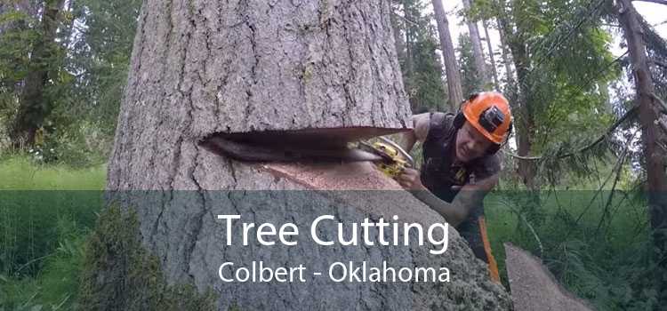 Tree Cutting Colbert - Oklahoma