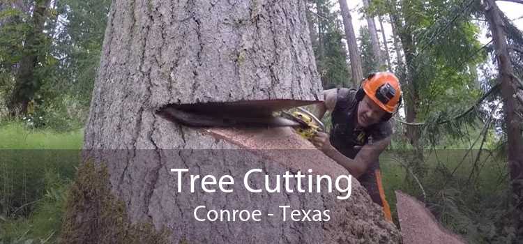 Tree Cutting Conroe - Texas