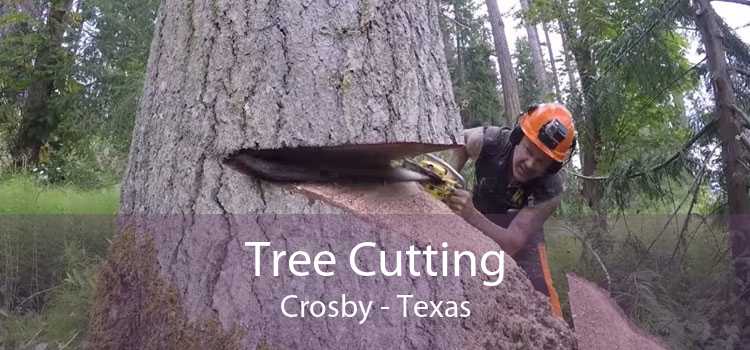 Tree Cutting Crosby - Texas