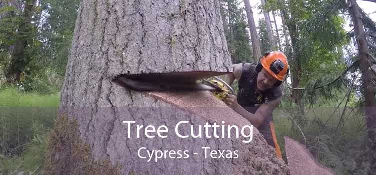 Tree Cutting Cypress - Texas