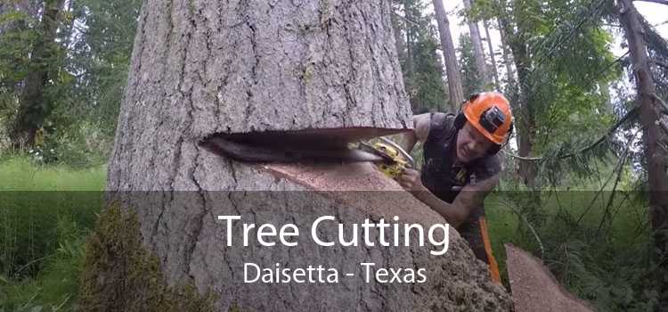 Tree Cutting Daisetta - Texas