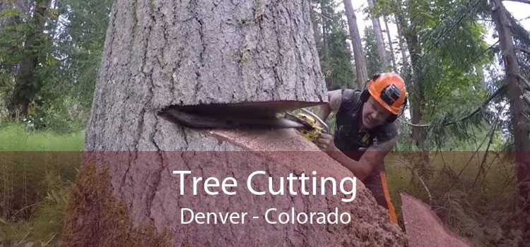 Tree Cutting Denver - Colorado
