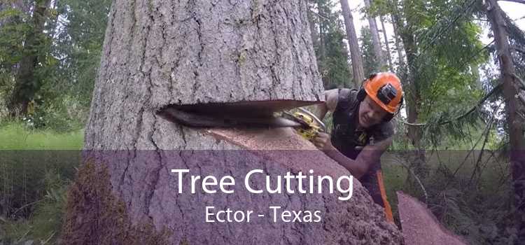 Tree Cutting Ector - Texas