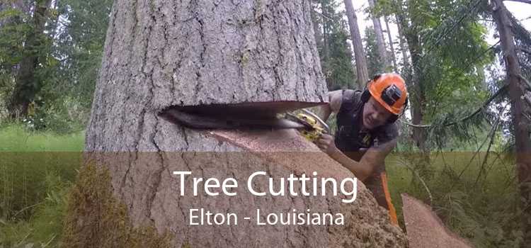 Tree Cutting Elton - Louisiana