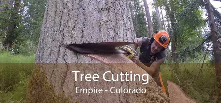 Tree Cutting Empire - Colorado