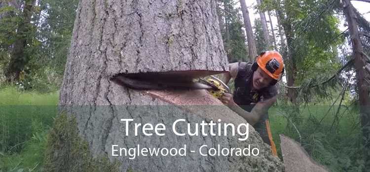 Tree Cutting Englewood - Colorado
