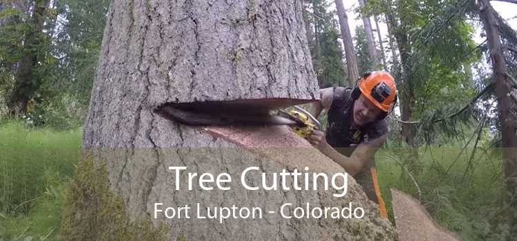 Tree Cutting Fort Lupton - Colorado