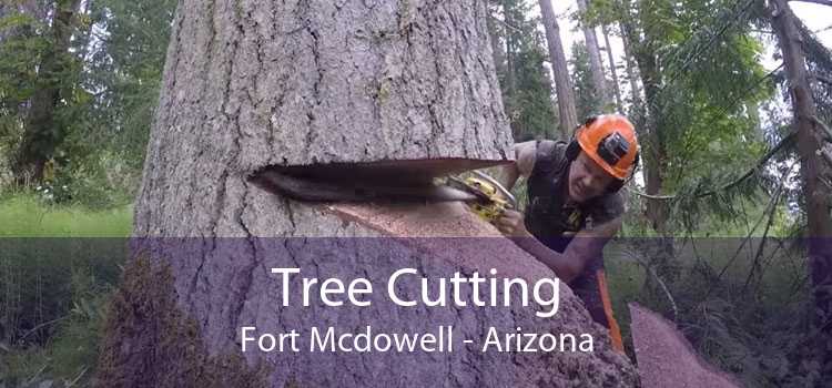 Tree Cutting Fort Mcdowell - Arizona