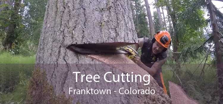 Tree Cutting Franktown - Colorado