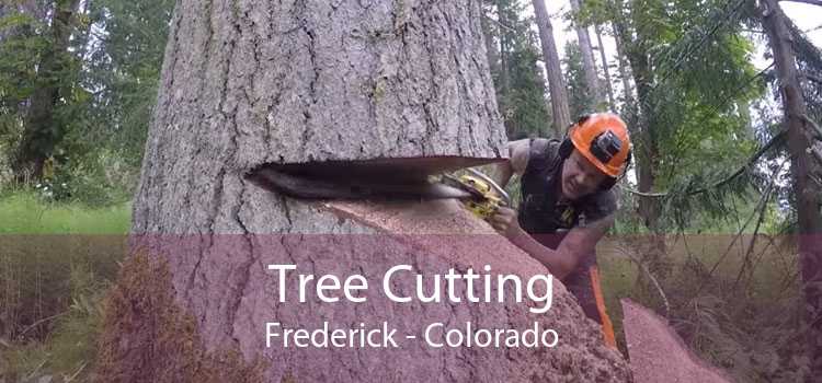 Tree Cutting Frederick - Colorado