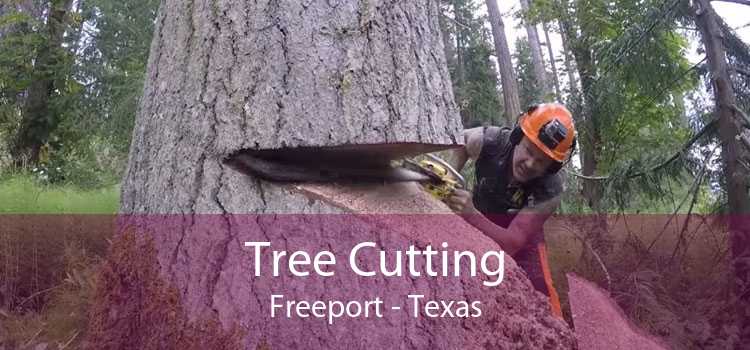 Tree Cutting Freeport - Texas