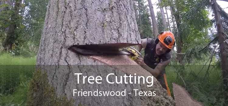 Tree Cutting Friendswood - Texas