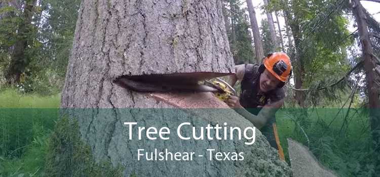 Tree Cutting Fulshear - Texas