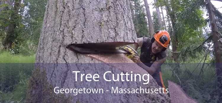 Tree Cutting Georgetown - Massachusetts
