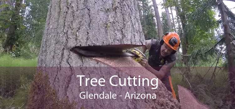 Tree Cutting Glendale - Arizona