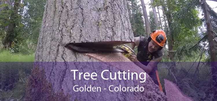 Tree Cutting Golden - Colorado