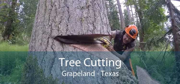 Tree Cutting Grapeland - Texas