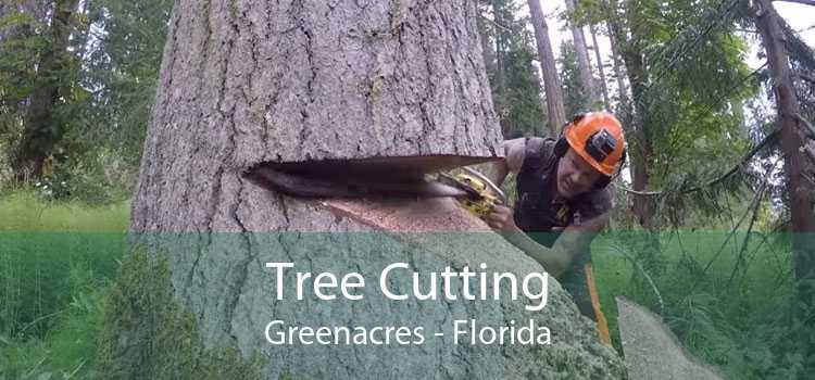Tree Cutting Greenacres - Florida