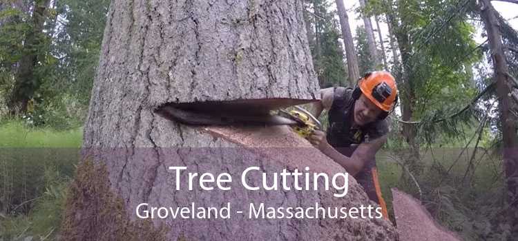 Tree Cutting Groveland - Massachusetts