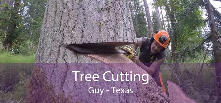 Tree Cutting Guy - Texas