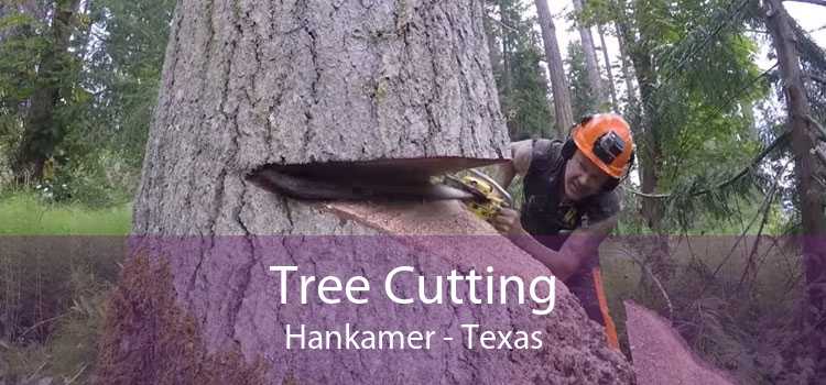 Tree Cutting Hankamer - Texas
