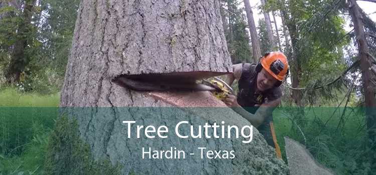 Tree Cutting Hardin - Texas
