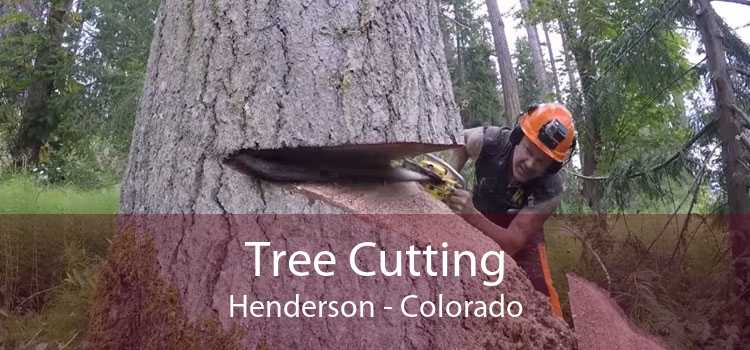 Tree Cutting Henderson - Colorado