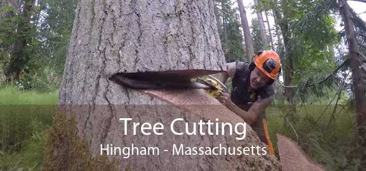 Tree Cutting Hingham - Massachusetts