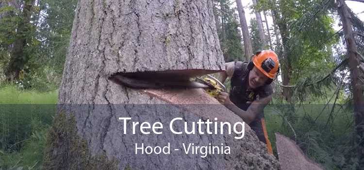 Tree Cutting Hood - Virginia