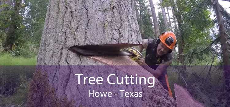 Tree Cutting Howe - Texas