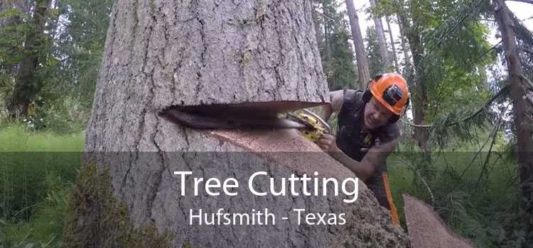 Tree Cutting Hufsmith - Texas