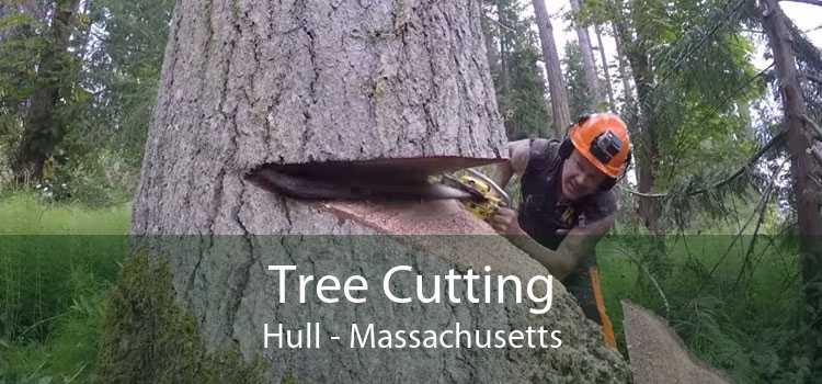 Tree Cutting Hull - Massachusetts