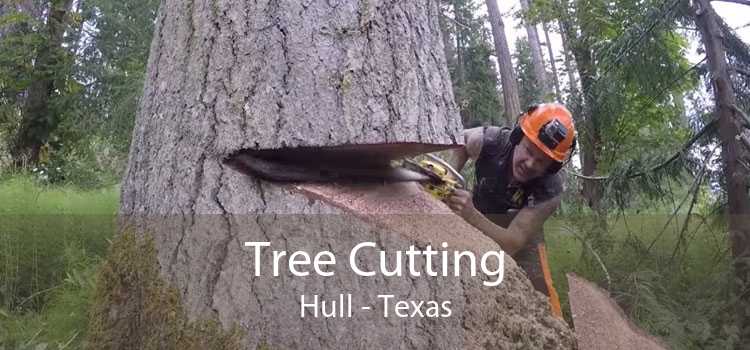 Tree Cutting Hull - Texas
