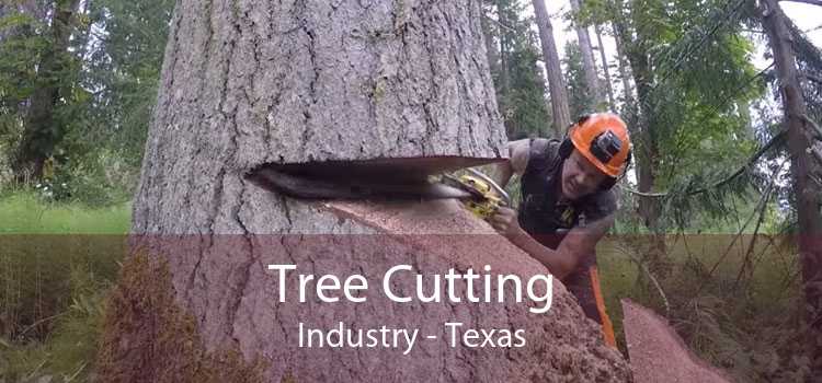 Tree Cutting Industry - Texas