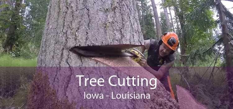 Tree Cutting Iowa - Louisiana