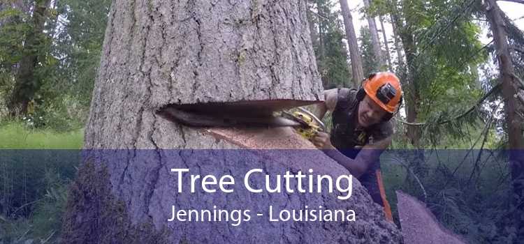 Tree Cutting Jennings - Louisiana