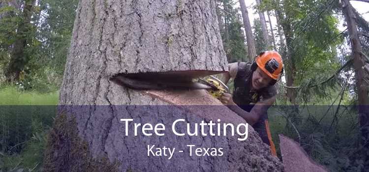 Tree Cutting Katy - Texas