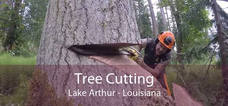 Tree Cutting Lake Arthur - Louisiana