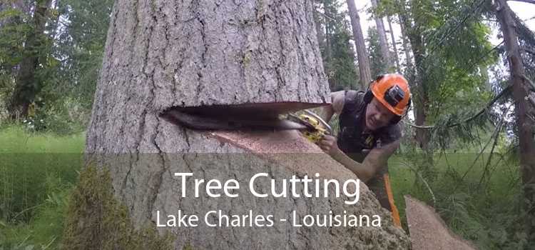 Tree Cutting Lake Charles - Louisiana