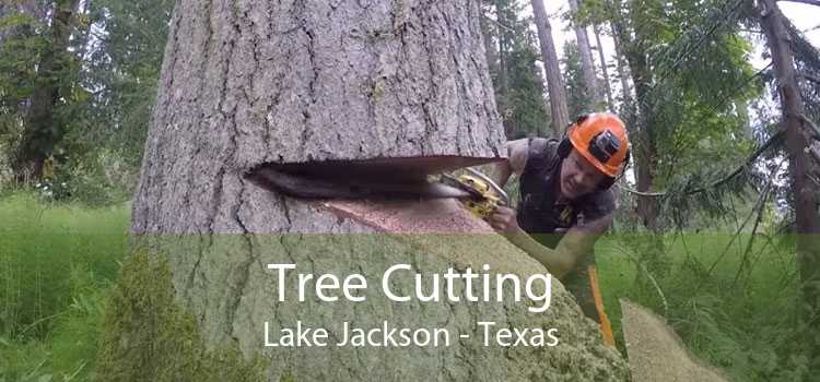 Tree Cutting Lake Jackson - Texas