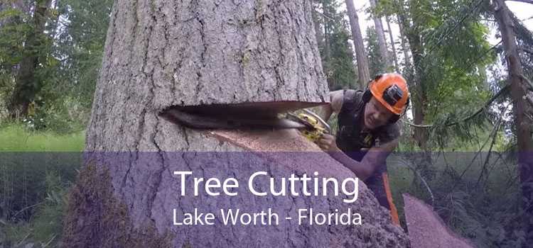 Tree Cutting Lake Worth - Florida